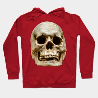 Halloween Human Skull Hoodie